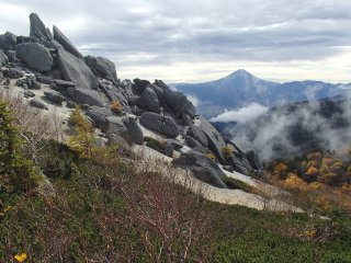 薬師岳の黄葉と富士山