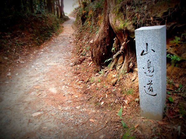 奈良,ハイキング,関西,おすすめ,コース,ルート,